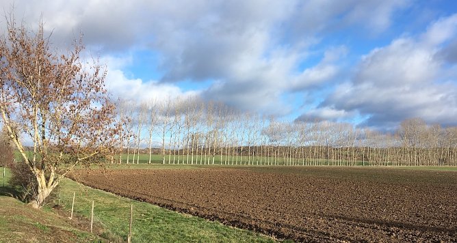 wetter (Foto: oas) wetter (Foto: oas)