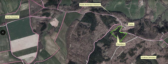 Baumpflanztag (Foto: Forstamt)