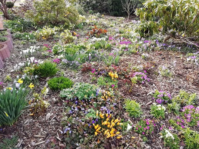 Die Farben der Natur (Foto: W. Jörgens) Die Farben der Natur (Foto: W. Jörgens)