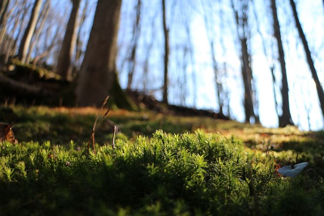 Wetterbild (Foto: Angelo Glashagel) Wetterbild (Foto: Angelo Glashagel)