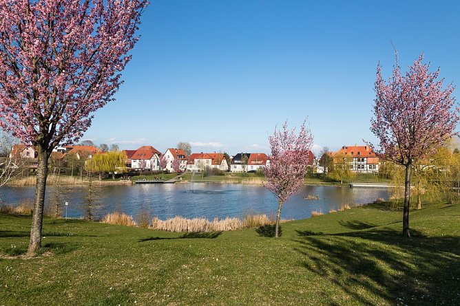 M&auml;rtens Teich (Foto: Stefan Rieger)