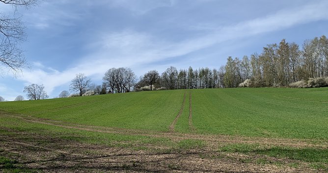 Wetter (Foto: oas) Wetter (Foto: oas)