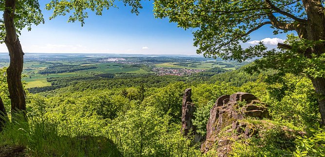 Was f&uuml;r's Auge (Foto: A. Levi)