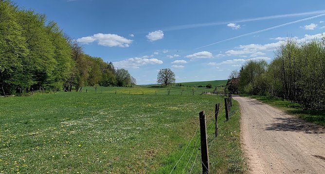 Fr&uuml;hling im Vorharz (Foto: oas)