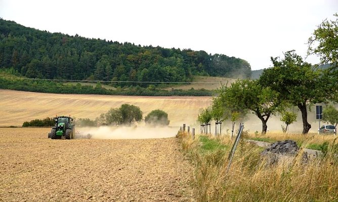 Trockenstress im Wald (Foto: Th&uuml;ringenForst)