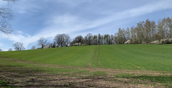 Windl&uuml;cke (Foto: oas)