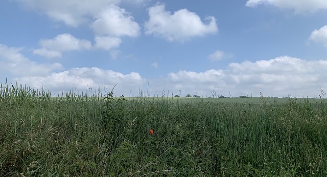 Windl&uuml;cke Nordhausen (Foto: oas)