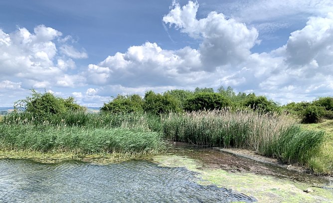 Stausee bei Kelbra (Foto: oas) Stausee bei Kelbra (Foto: oas)