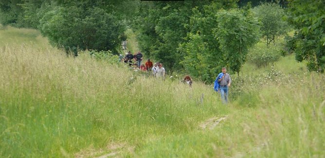Der ehemalige Kolonnenweg (Foto: Heinz Sielmann Stiftung) Der ehemalige Kolonnenweg (Foto: Heinz Sielmann Stiftung)