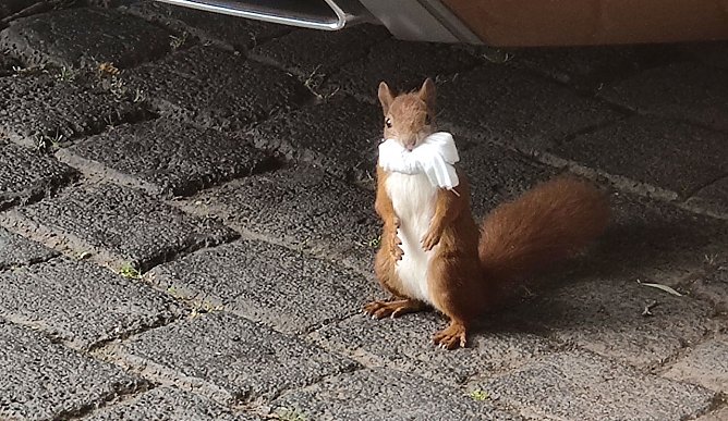 Beispielhaft vorbildlich angelegter Mund-u. Nasenschutz (Foto: P.Blei)