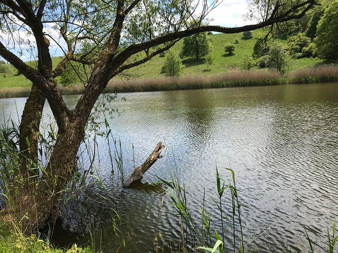 Wetterbild (Foto: agl)