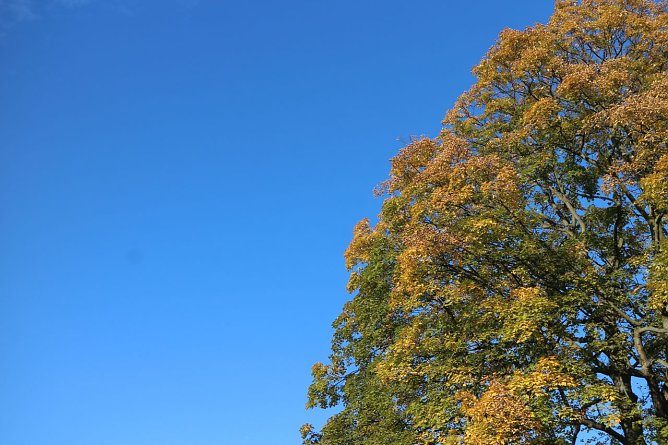 Wetterbild (Foto: agl) Wetterbild (Foto: agl)