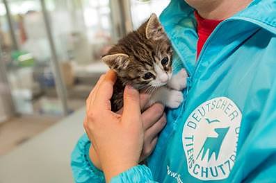 Die Tierheime helfen allen Tieren in Not, sind aber selbst auf Hilfe angewiesen.   (Foto: Deutscher Tierschutzbund/M. Marten)