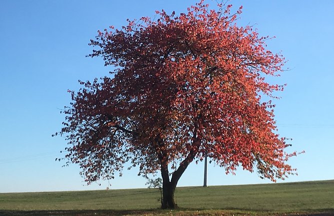 Herbst im S&uuml;dharz (Foto: oas)