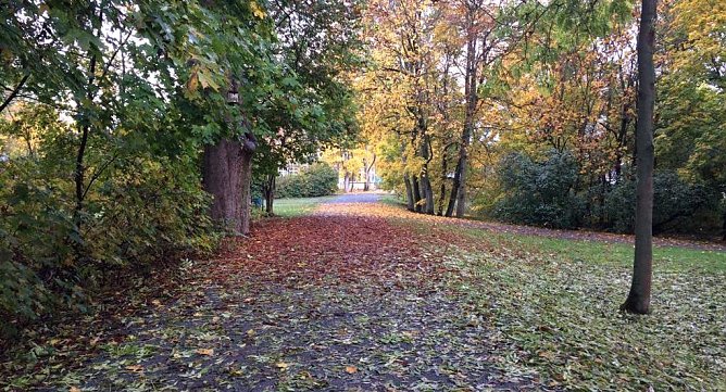 Im Stadtpark Nordhausen (Foto: emw) Im Stadtpark Nordhausen (Foto: emw)