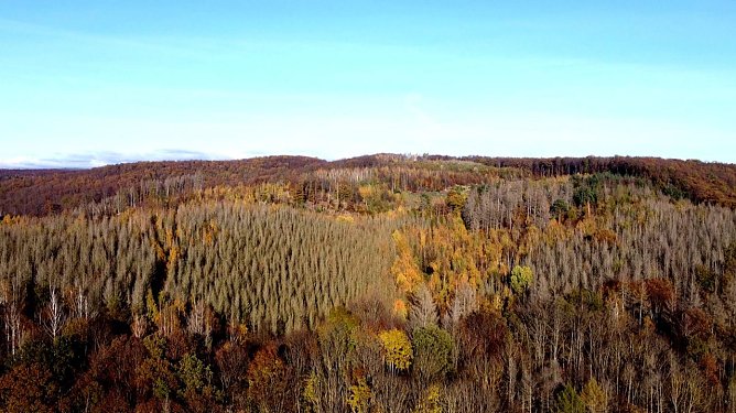 Blick in den Südharz (Foto: Peter Blei) Blick in den Südharz (Foto: Peter Blei)