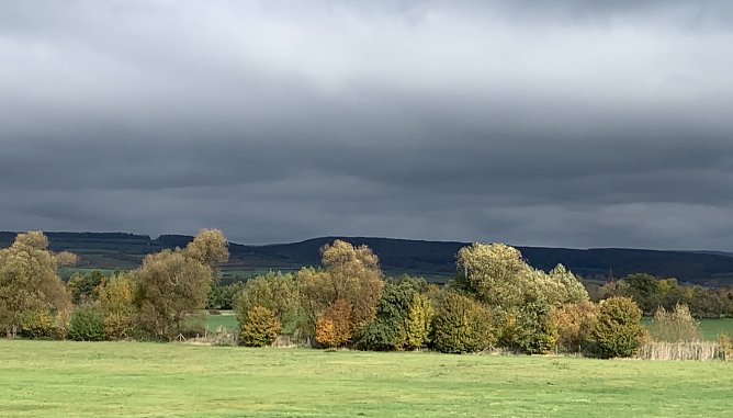 Im Südharz (Foto: oas) Im Südharz (Foto: oas)