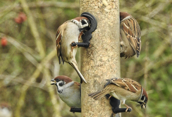 Futtersilo (Foto: Arne von Brill) Futtersilo (Foto: Arne von Brill)