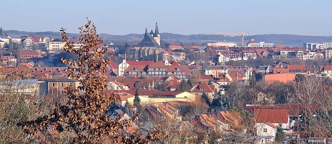 Blick auf Nordhausen vom Holungsb&uuml;gel (Foto: nnz)