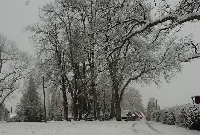 Winterwetter in Sophienhof (Foto: W. J&ouml;rgens)