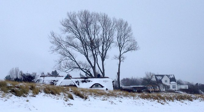 Am Strand von Ahrenshoop (Foto: oas) Am Strand von Ahrenshoop (Foto: oas)