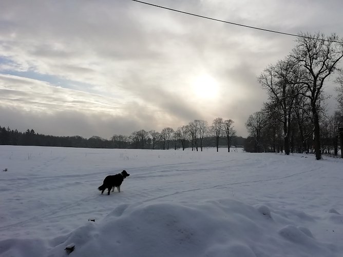 Im oberen Harz (Foto: W.J&ouml;rgens)