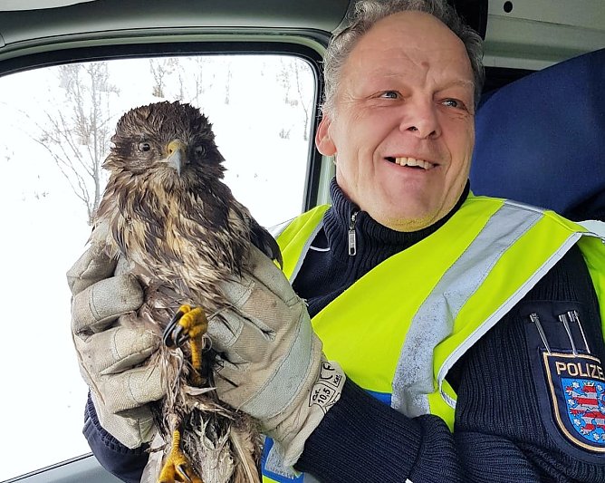 Noch etwas derangiert, aber gerettet: Autobahnpolizei hilft einen Greifvogel (Foto: API) Noch etwas derangiert, aber gerettet: Autobahnpolizei hilft einen Greifvogel (Foto: API)
