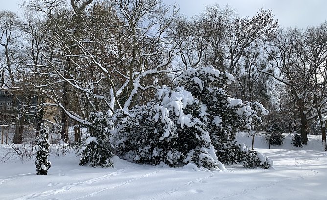 Park Hohenrode in Nordhausen  (Foto: oas)