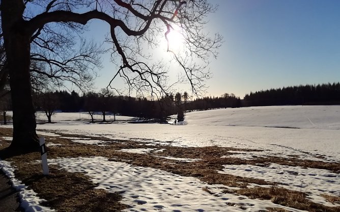 Bei Sophienhof (Foto: W.Jörgens) Bei Sophienhof (Foto: W.Jörgens)