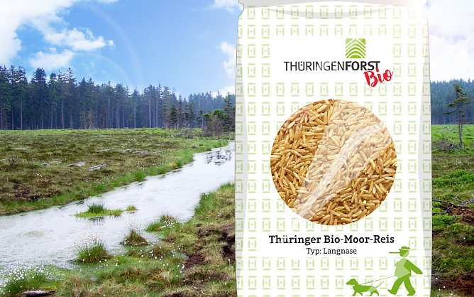 Reisanbau in Moorgebieten (Foto: Th&uuml;ringenForst)
