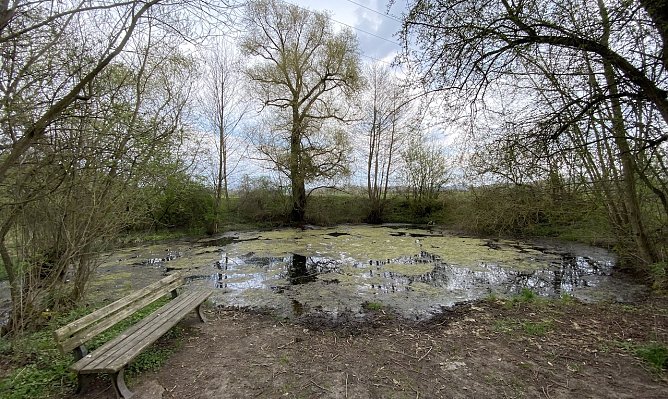 Auch am Gr8ndlosen Loch in Nordhauen/Salza wird jetzt mit aller Macht Frühling (Foto: oas) Auch am Gr8ndlosen Loch in Nordhauen/Salza wird jetzt mit aller Macht Frühling (Foto: oas)