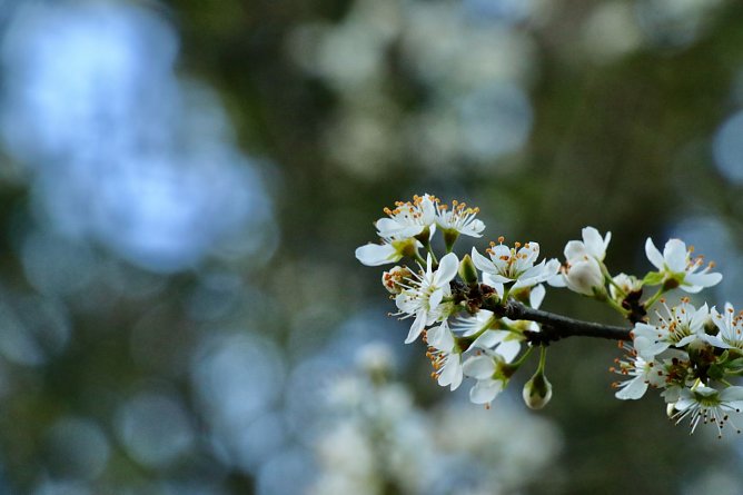 Wetterbild (Foto: agl)
