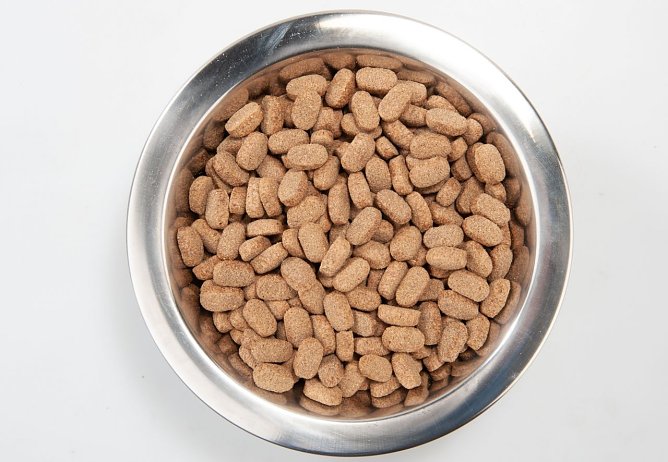 Die Stiftung Warentest hat 28 Trockenfutter f&uuml;r ausgewachsene Hunde untersucht. (Foto: Stiftung Warentest)