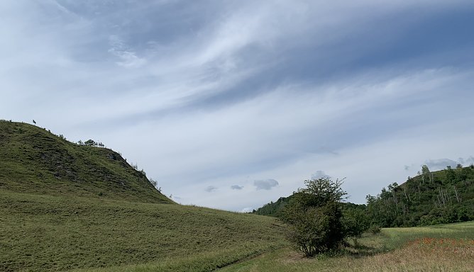 Bei Auleben am Stausee (Foto: oas) Bei Auleben am Stausee (Foto: oas)