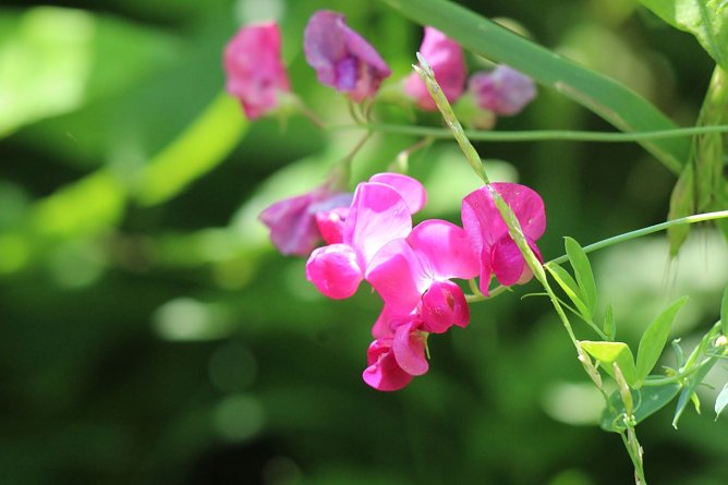 Wetterbild (Foto: Eva Maria Wiegand) Wetterbild (Foto: Eva Maria Wiegand)