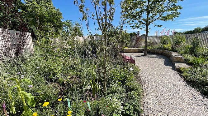Im Juli reift im Garten manch Leckerbissen (Foto: Fachverband  Garten-, Landschafts- und Sportplatzbau )