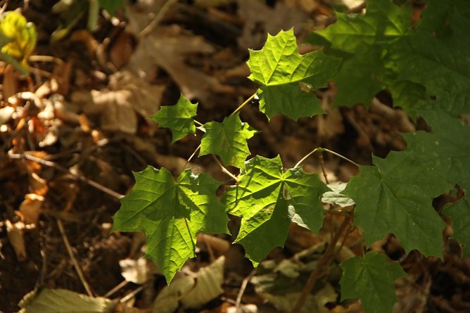 Wetterbild (Foto: agl) Wetterbild (Foto: agl)
