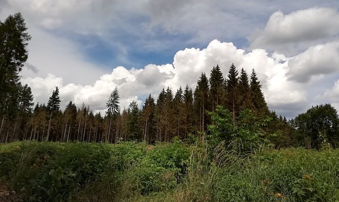 Impression aus Sophienhof (Foto: W.Jörgens) Impression aus Sophienhof (Foto: W.Jörgens)