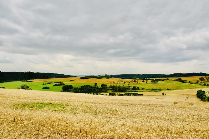 Wetterbild (Foto: agl)