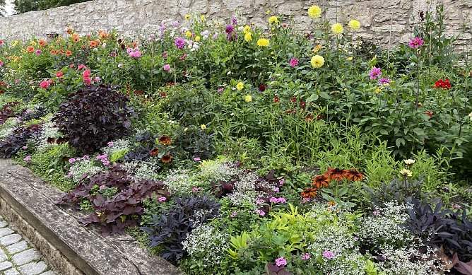 Eingang zum Arboretum in Bad Langensalza (Foto: oas) Eingang zum Arboretum in Bad Langensalza (Foto: oas)