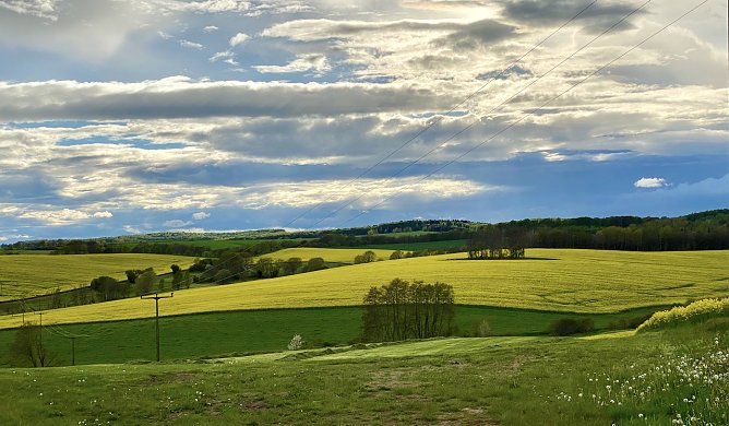 Der Sommer 2021 war einer der regenreichsten seit vielen Jahren (Foto: oas)