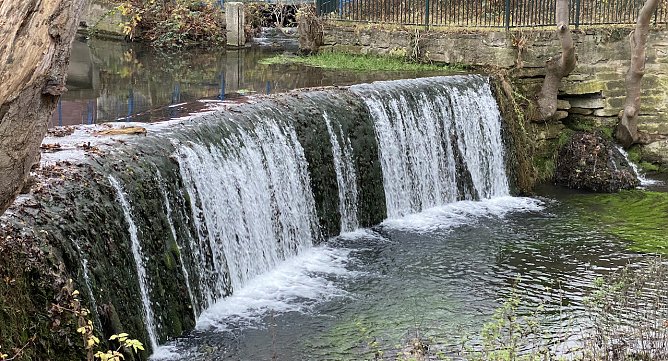 Mildes Wetter begleitet uns in den 4. Advent (Foto: oas) Mildes Wetter begleitet uns in den 4. Advent (Foto: oas)