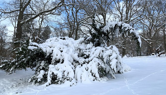 Wei&szlig;e Weihnachten? (Foto: nnz-Archiv)