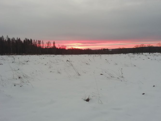 Frostig frisch konnte man heute morgen den Sonnenaufgang in Sophienhof bewundern (Foto: W. J&ouml;rgens)