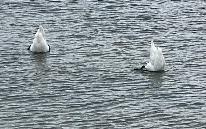 Am, auf und im Stausee (Foto: oas) Am, auf und im Stausee (Foto: oas)