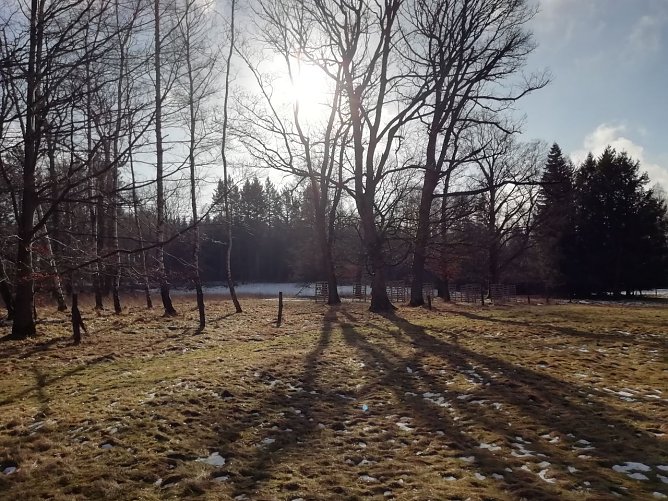 In Sophienhof weicht der Schnee langsam der Sonne (Foto: W. Jörgens) In Sophienhof weicht der Schnee langsam der Sonne (Foto: W. Jörgens)