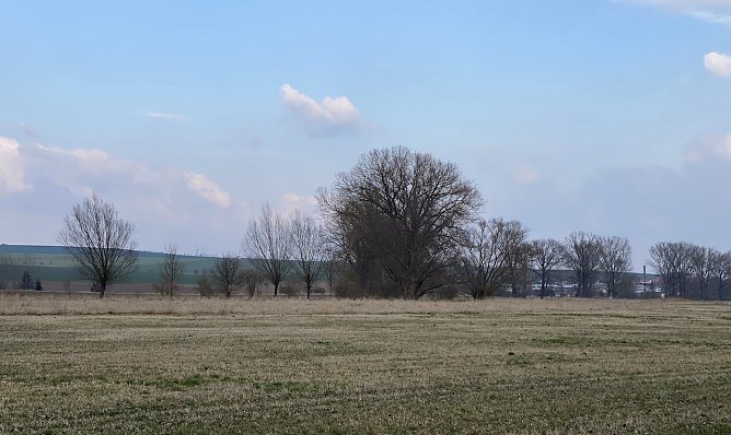Fr&uuml;hlingshafte Tage, aber kalte N&auml;chte bleiben uns erhalten (Foto: oas)