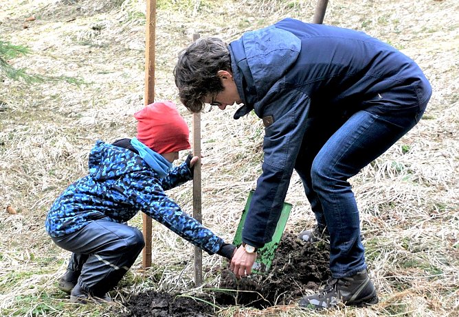 Fr&uuml;hjahrsaufforstung - Helfende H&auml;nde gesucht (Foto: Horst Spro&szlig;mann)