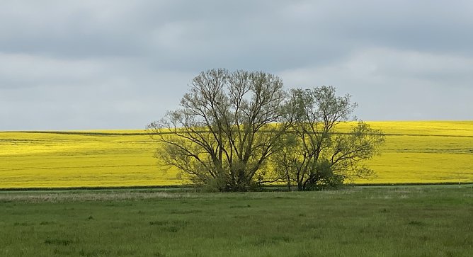 Nach den Gewittern wird es deutlich kühler (Foto: oas) Nach den Gewittern wird es deutlich kühler (Foto: oas)