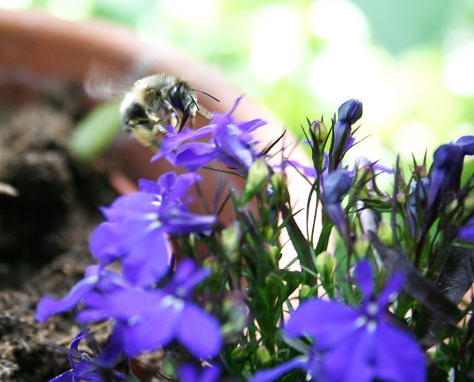 Unser Wetterbild kommt heute aus der Goldenen Aue (Foto: Ulrich Reinboth) Unser Wetterbild kommt heute aus der Goldenen Aue (Foto: Ulrich Reinboth)